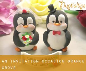 An Invitation Occasion (Orange Grove)