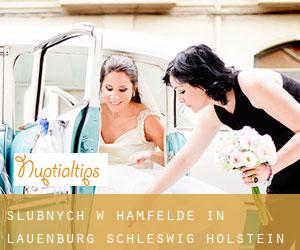 Ślubnych w Hamfelde in Lauenburg (Schleswig-Holstein)
