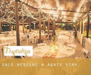 Sale weselne w Agate (Utah)