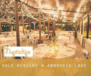 Sale weselne w Ambrosia Lake