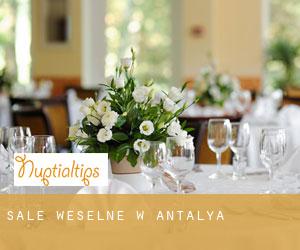 Sale weselne w Antalya