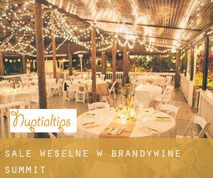Sale weselne w Brandywine Summit