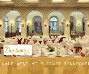 Sale weselne w Egypt (Tennessee)