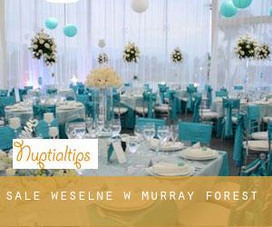 Sale weselne w Murray Forest