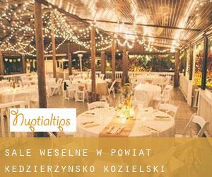 Sale weselne w Powiat kędzierzyńsko-kozielski