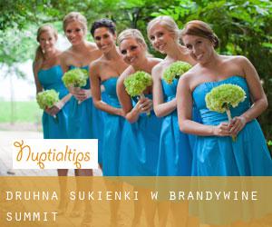 Druhna sukienki w Brandywine Summit