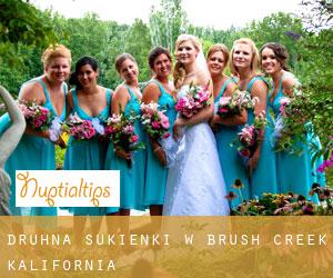 Druhna sukienki w Brush Creek (Kalifornia)