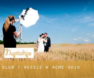 Ślub i Wesele w Acme (Ohio)