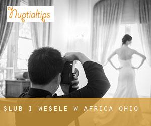 Ślub i Wesele w Africa (Ohio)