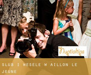 Ślub i Wesele w Aillon-le-Jeune