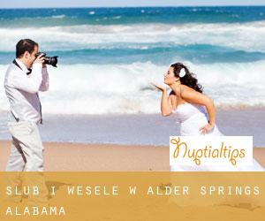 Ślub i Wesele w Alder Springs (Alabama)