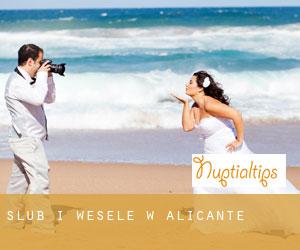 Ślub i Wesele w Alicante