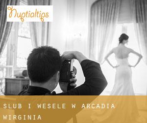 Ślub i Wesele w Arcadia (Wirginia)