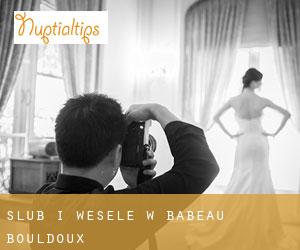 Ślub i Wesele w Babeau-Bouldoux