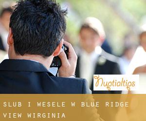 Ślub i Wesele w Blue Ridge View (Wirginia)