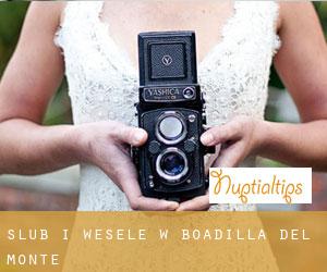 Ślub i Wesele w Boadilla del Monte