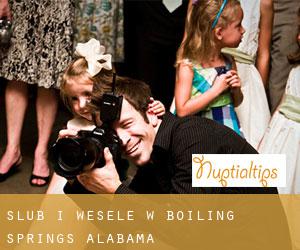 Ślub i Wesele w Boiling Springs (Alabama)