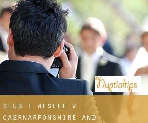 Ślub i Wesele w Caernarfonshire and Merionethshire