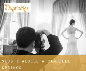 Ślub i Wesele w Campbell Springs