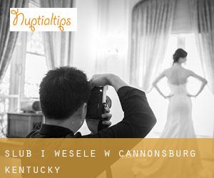Ślub i Wesele w Cannonsburg (Kentucky)