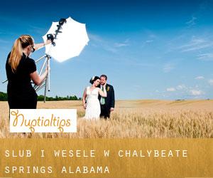 Ślub i Wesele w Chalybeate Springs (Alabama)