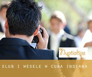 Ślub i Wesele w Cuba (Indiana)