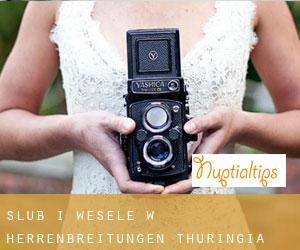 Ślub i Wesele w Herrenbreitungen (Thuringia)