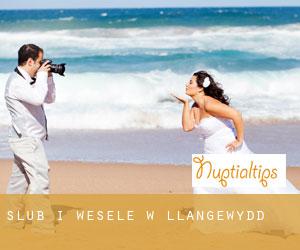 Ślub i Wesele w Llangewydd