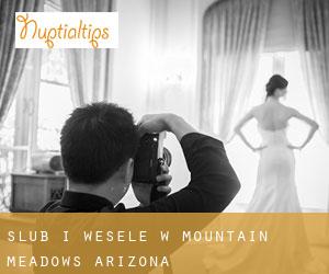 Ślub i Wesele w Mountain Meadows (Arizona)