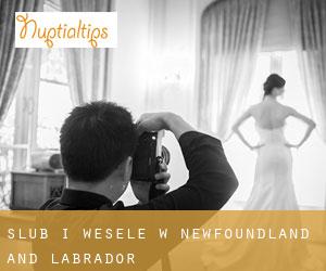 Ślub i Wesele w Newfoundland and Labrador