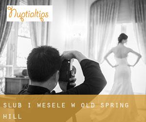 Ślub i Wesele w Old Spring Hill