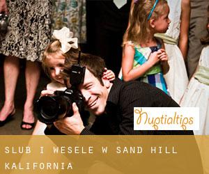 Ślub i Wesele w Sand Hill (Kalifornia)