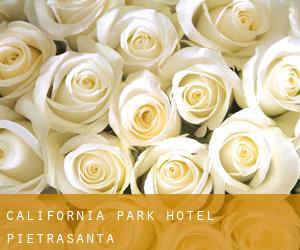 California Park Hotel (Pietrasanta)