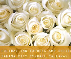 Holiday Inn Express & Suites Panama City-Tyndall (Callaway)