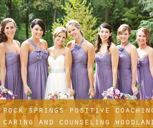 Rock Springs Positive Coaching Caring and Counseling (Woodland Hills)
