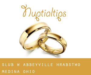 ślub w Abbeyville (Hrabstwo Medina, Ohio)