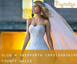 ślub w Aberporth (Cardiganshire County, Wales)