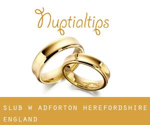 ślub w Adforton (Herefordshire, England)