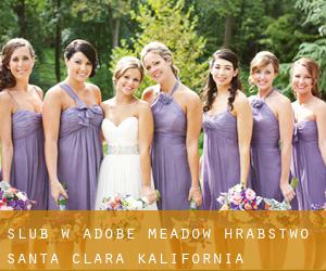 ślub w Adobe Meadow (Hrabstwo Santa Clara, Kalifornia)