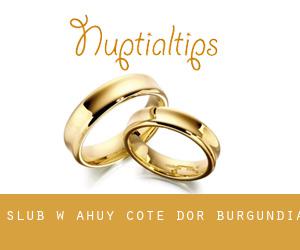 ślub w Ahuy (Cote d'Or, Burgundia)
