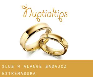 ślub w Alange (Badajoz, Estremadura)