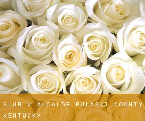 ślub w Alcalde (Pulaski County, Kentucky)