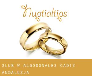ślub w Algodonales (Cadiz, Andaluzja)