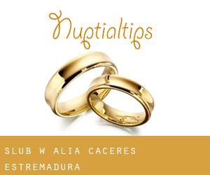 ślub w Alía (Caceres, Estremadura)