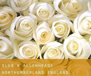ślub w Allenheads (Northumberland, England)