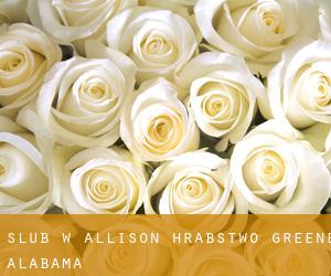 ślub w Allison (Hrabstwo Greene, Alabama)
