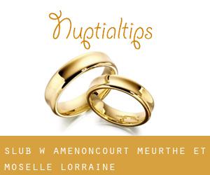 ślub w Amenoncourt (Meurthe et Moselle, Lorraine)