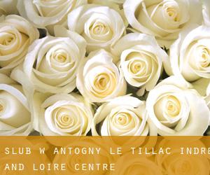 ślub w Antogny le Tillac (Indre and Loire, Centre)
