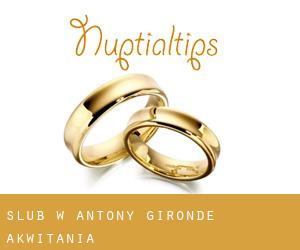 ślub w Antony (Gironde, Akwitania)