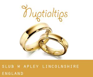 ślub w Apley (Lincolnshire, England)